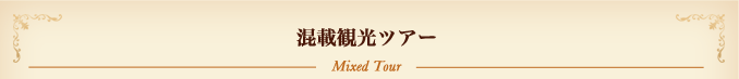 混載観光ツアー Mixed Tour